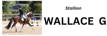 Wallace G banner ad